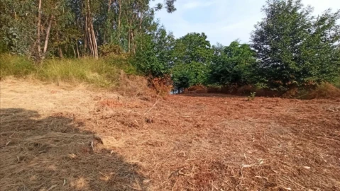 Terreno P/ Prédio para Venda em S. Paio