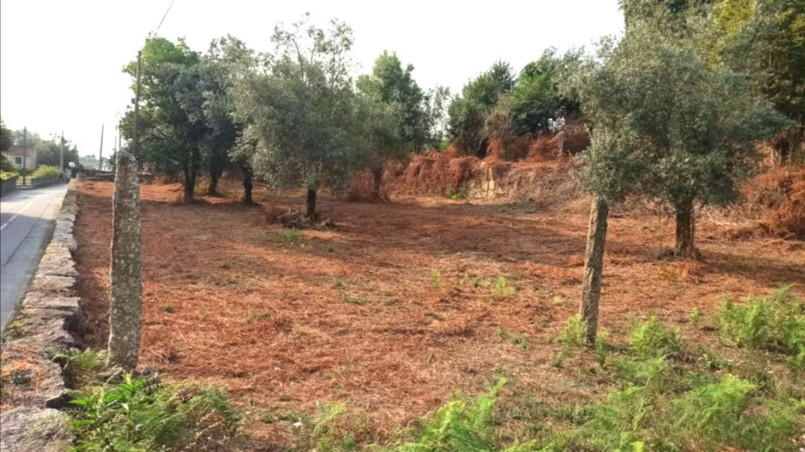 Terreno P/ Prédio para Venda em S. Paio Foto 15