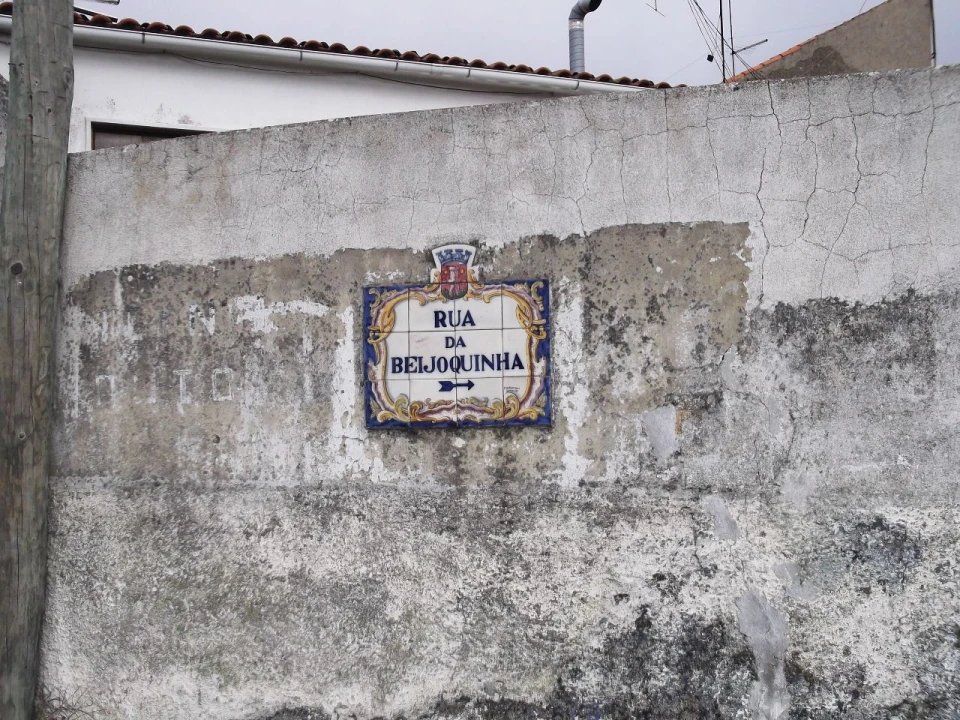 Quinta para Venda em Algueirão Foto 3