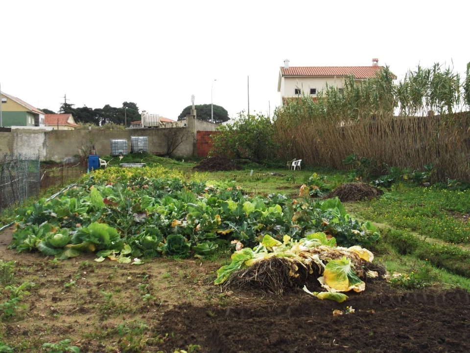 Quinta para Venda em Algueirão Foto 6