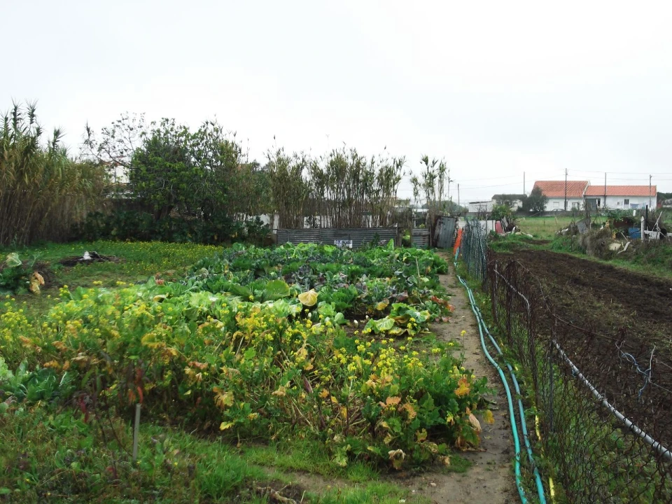Quinta para Venda em Algueirão Foto 7