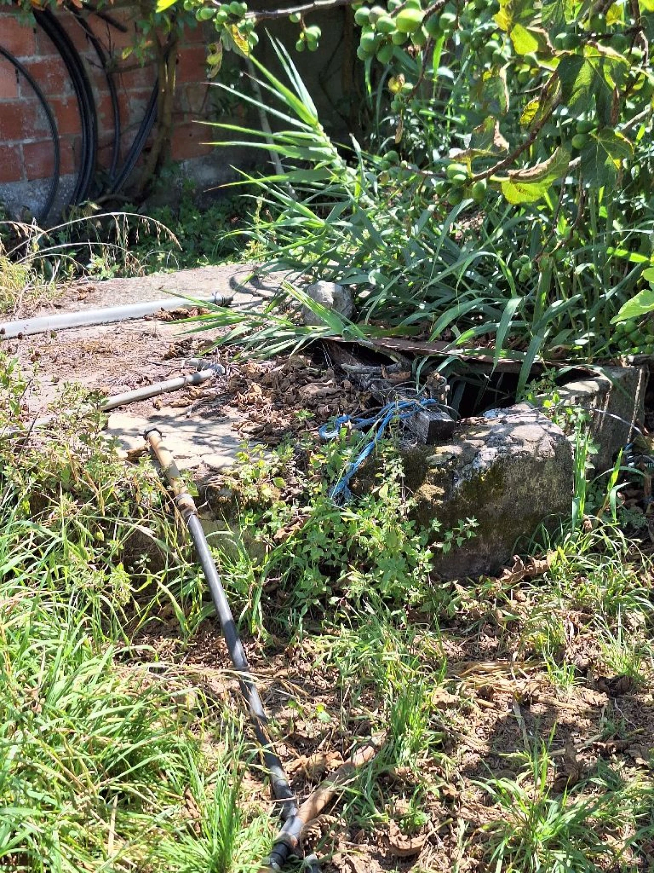 Quinta para Venda em Algueirão Foto 12