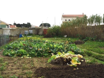 Quinta para Venda em Algueirão