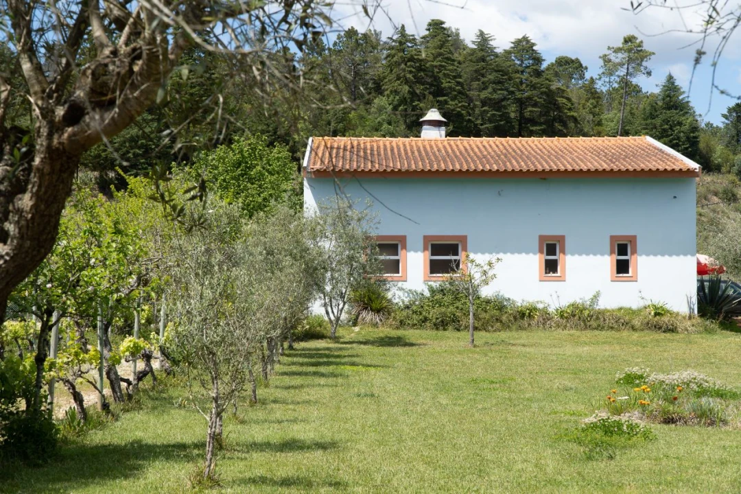 Quinta T8 para Venda em Miranda do Corvo Foto 18