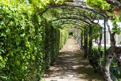 Quinta T8 para Venda em Miranda do Corvo