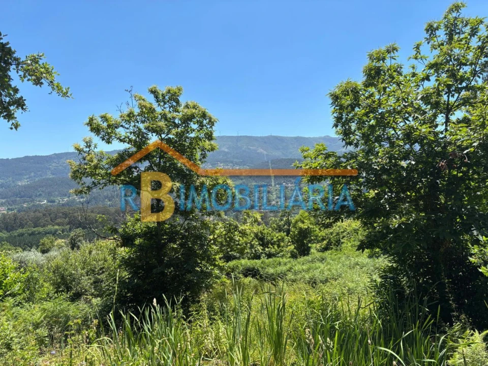 Terreno P/ Prédio para Venda em Tâmara Foto 6