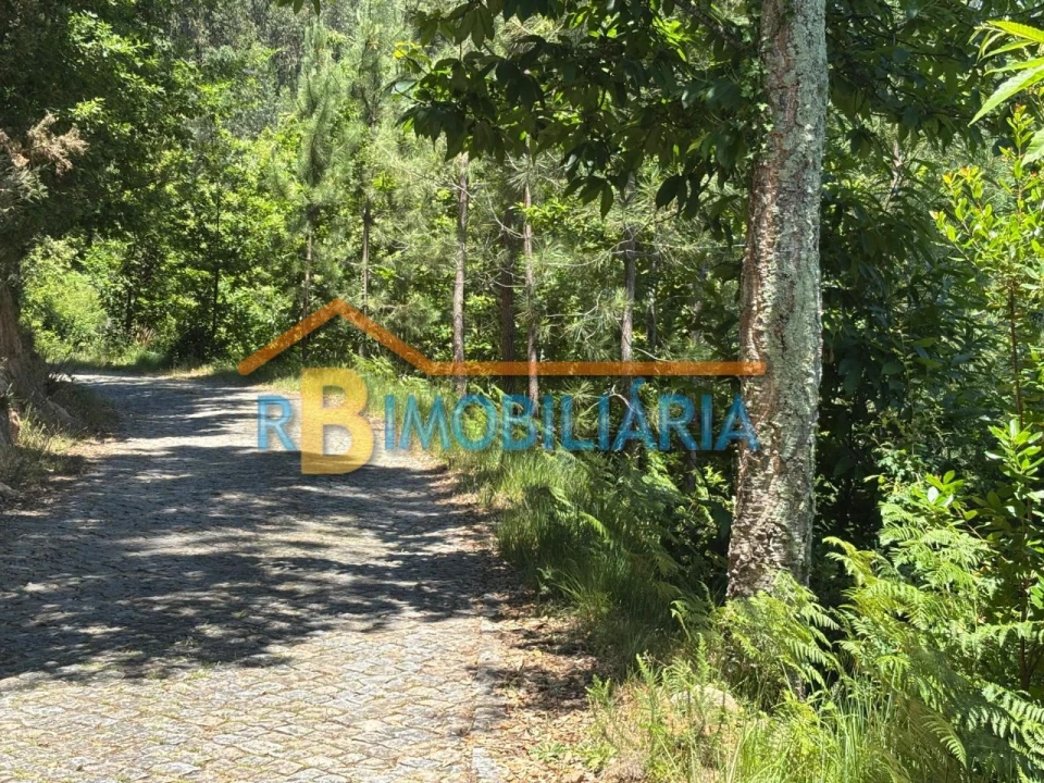 Terreno P/ Prédio para Venda em Tâmara Foto 7