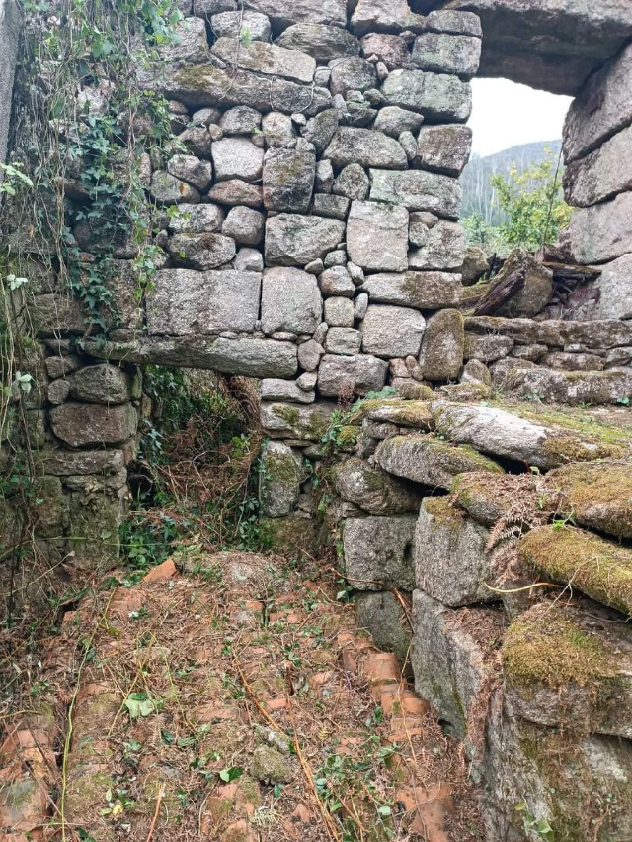 Moradia para Venda em São Jorge e Ermelo, Arcos de Valdevez Foto 8