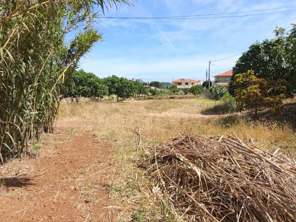 Terreno para Venda em Murtal Foto 6