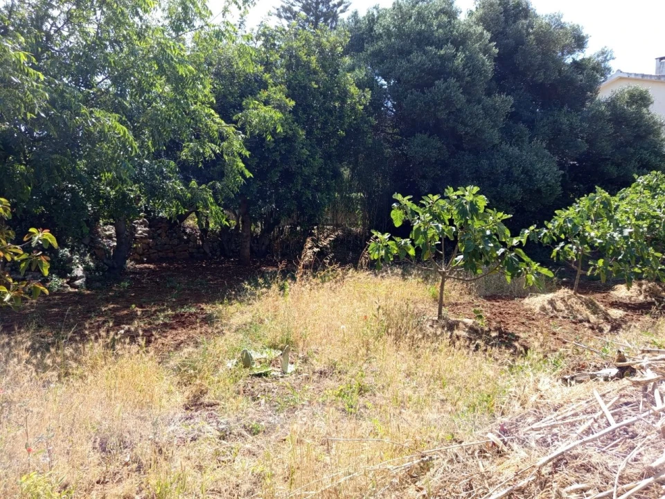 Terreno para Venda em Murtal Foto 7