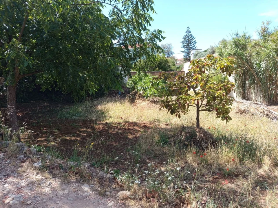 Terreno para Venda em Murtal Foto 2