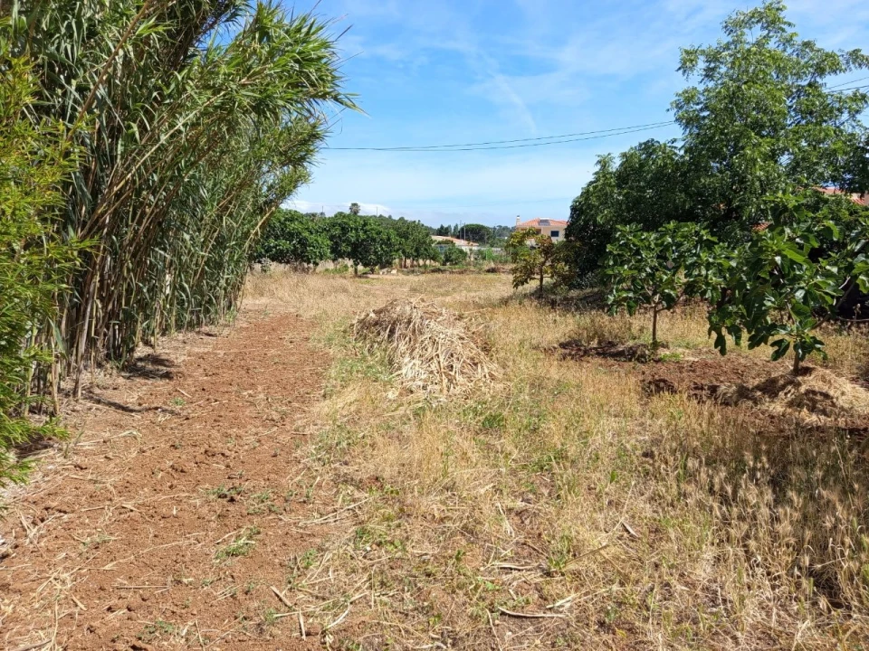 Terreno para Venda em Murtal Foto 10
