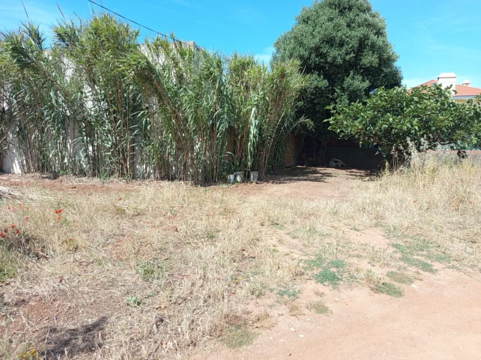 Terreno para Venda em Murtal Foto 5