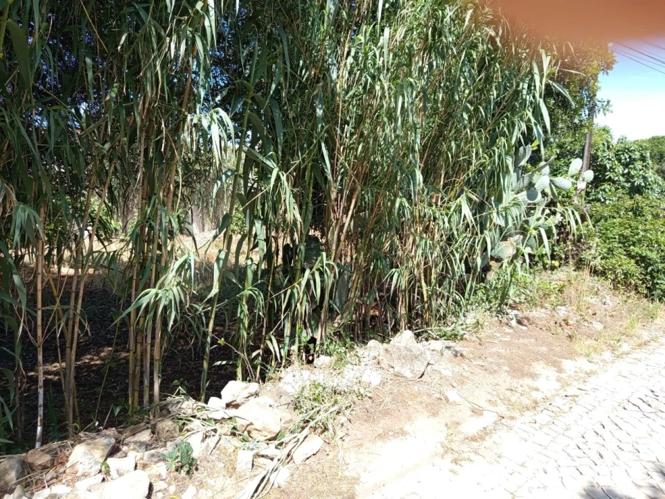 Terreno para Venda em Murtal Foto 9