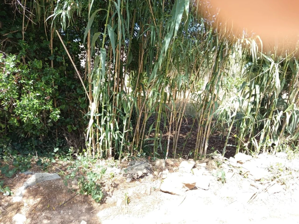 Terreno para Venda em Murtal Foto 11