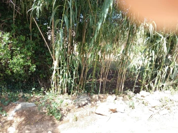 Terreno para Venda em Murtal