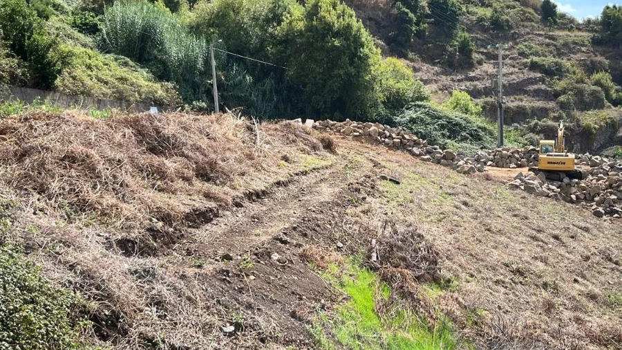 Terreno Misto para Venda em Ribeira Brava , Tabua, Estrada do Pico Ferreiro