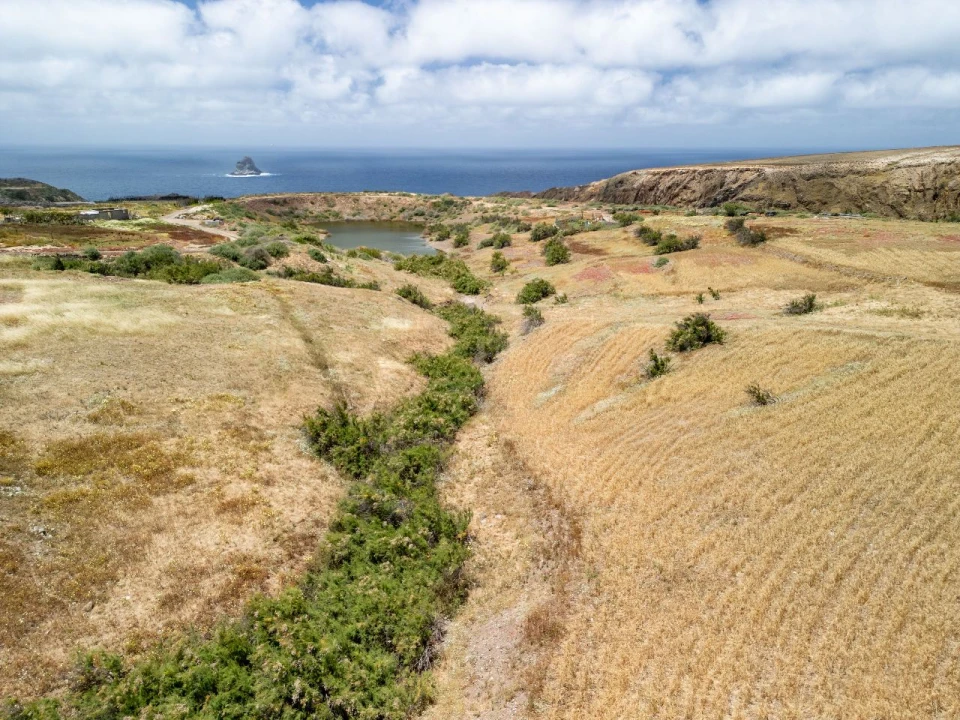 Terreno para Venda em Porto Santo Foto 30