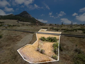 Terreno para Venda em Porto Santo