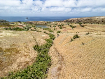 Terreno para Venda em Porto Santo