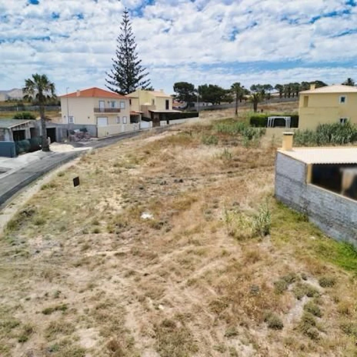 Terreno para Venda em Porto Santo Foto 9