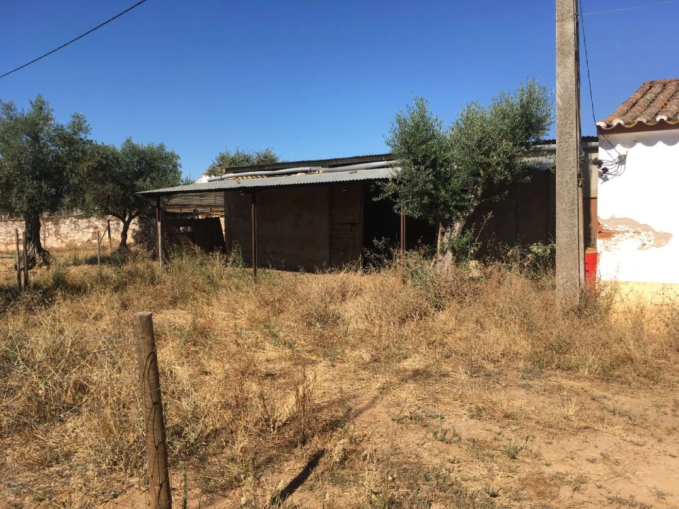 Terreno Misto para Venda em santo amaro Foto 7
