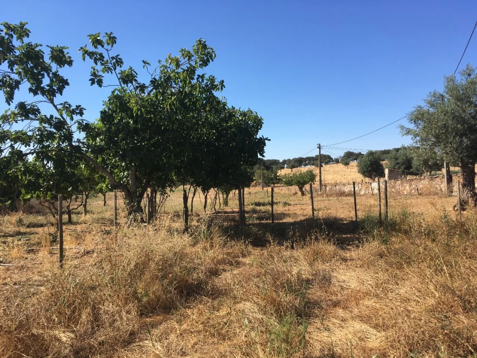 Terreno Misto para Venda em santo amaro Foto 8
