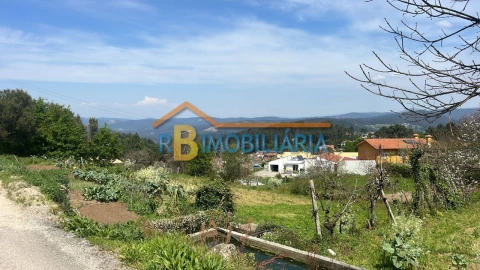 Terreno para Venda em Tojal