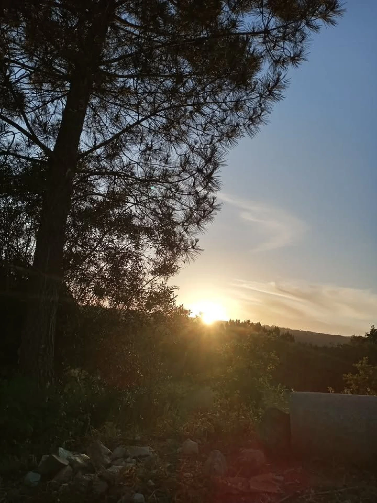 Terreno para Venda em Miranda do Corvo Foto 3