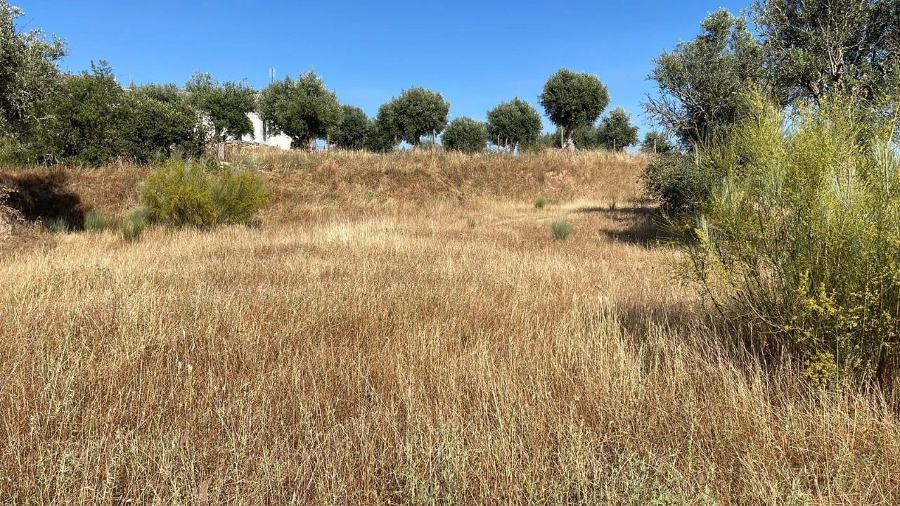 Terreno para Venda em Figueira e Barros Foto 4