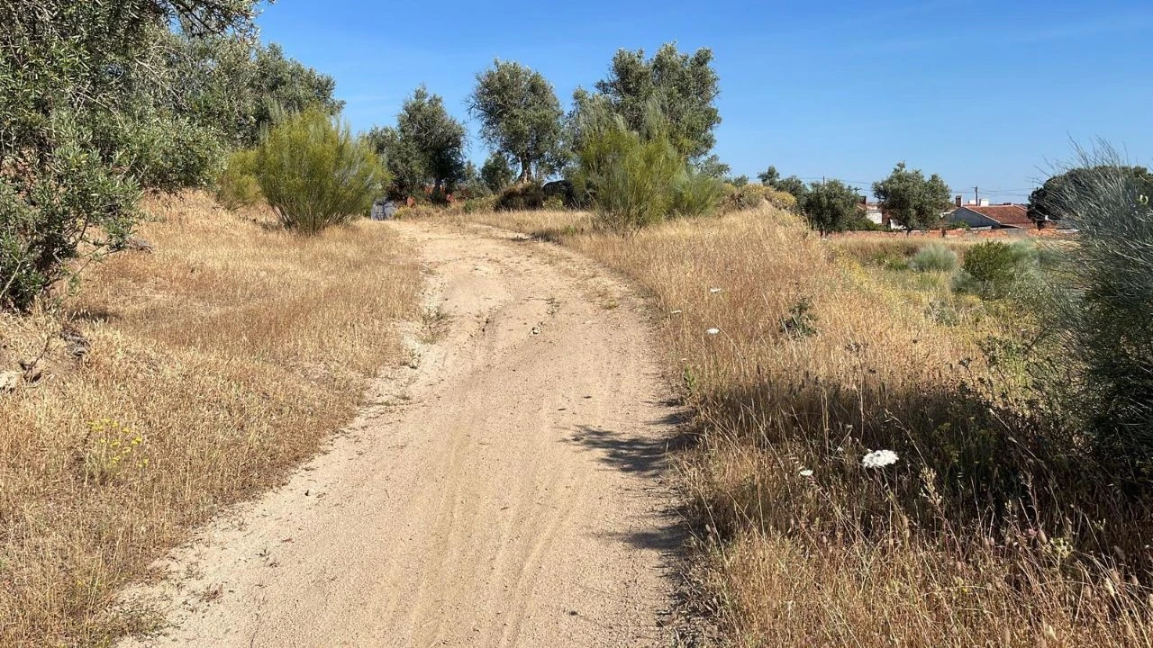 Terreno para Venda em Figueira e Barros Foto 8