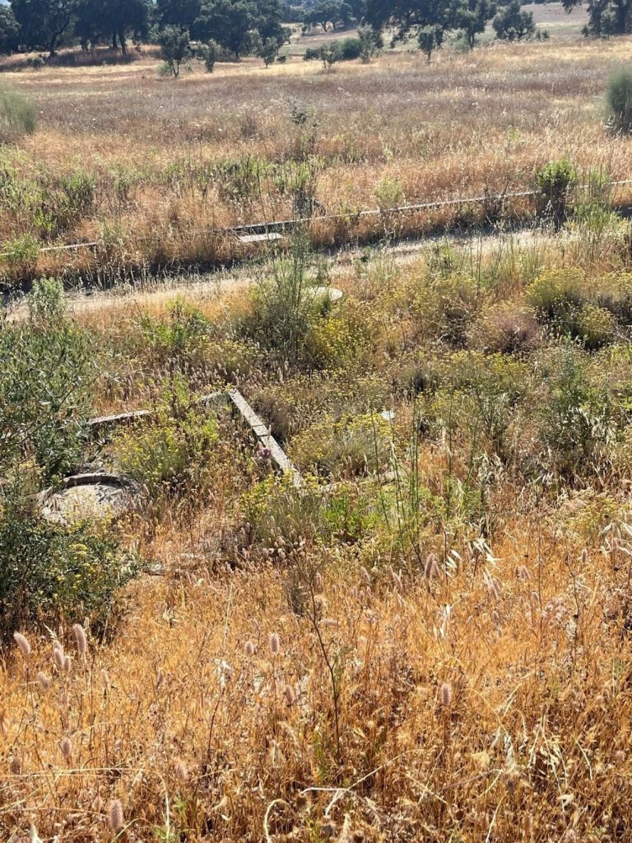Terreno para Venda em Figueira e Barros Foto 6