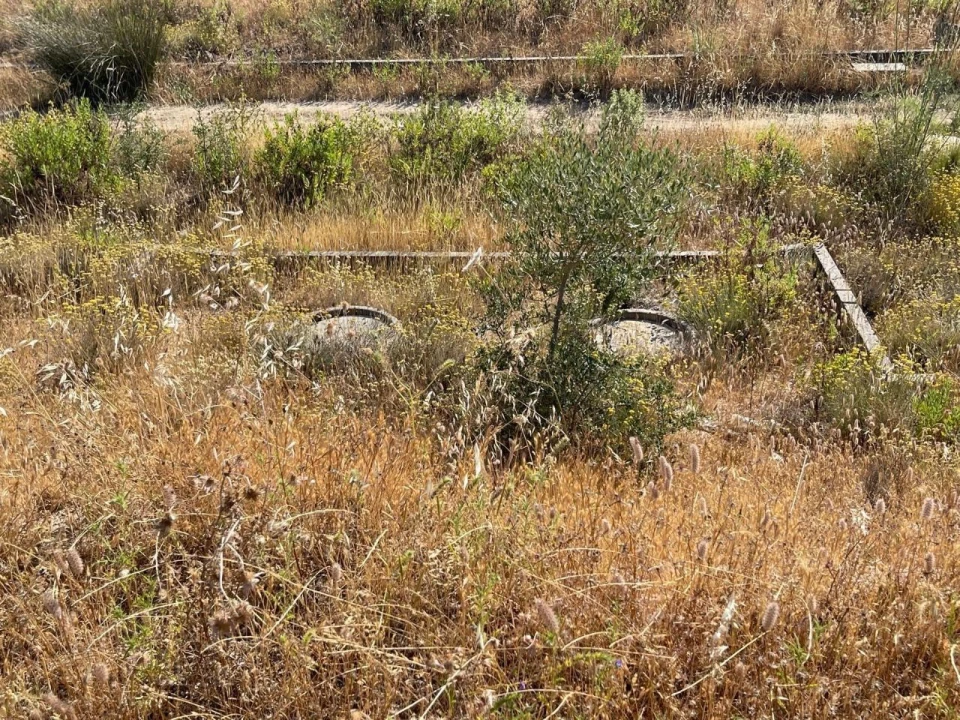 Terreno para Venda em Figueira e Barros Foto 7