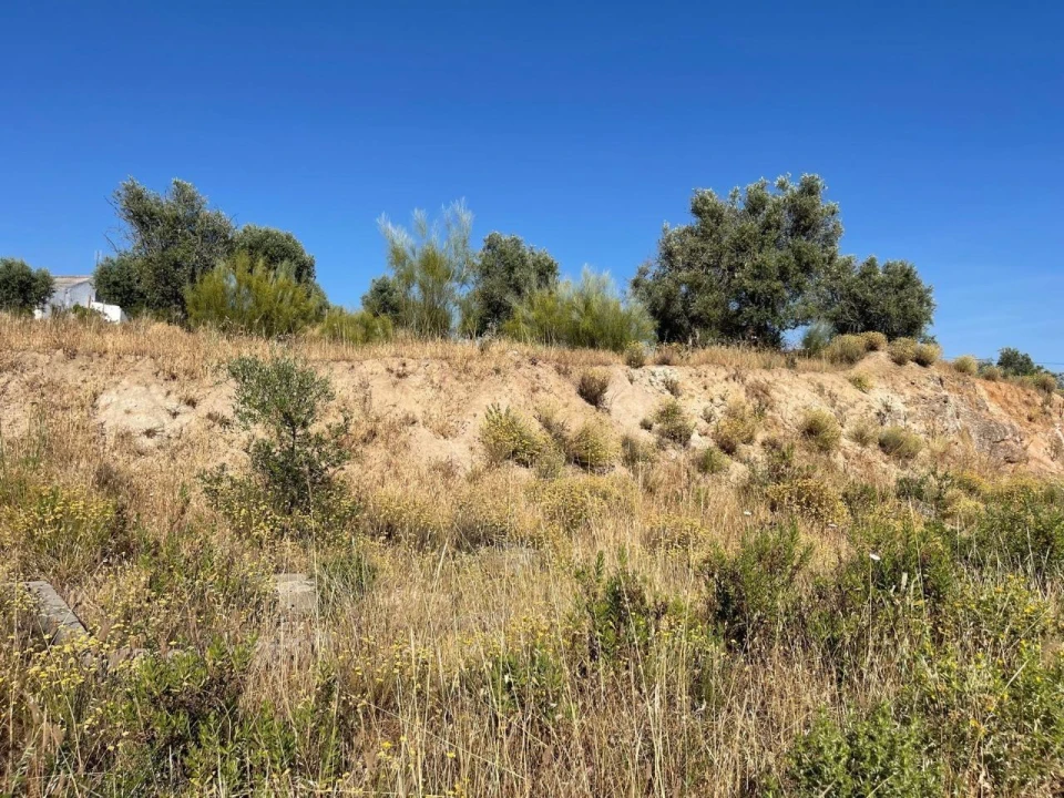 Terreno para Venda em Figueira e Barros Foto 9