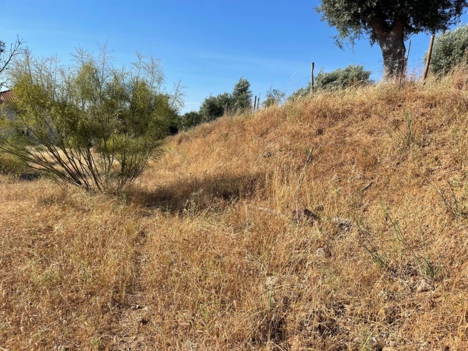 Terreno para Venda em Figueira e Barros Foto 11