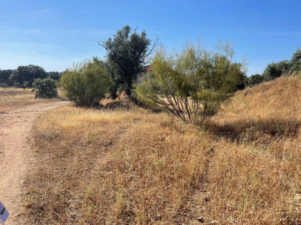Terreno para Venda em Figueira e Barros Foto 10