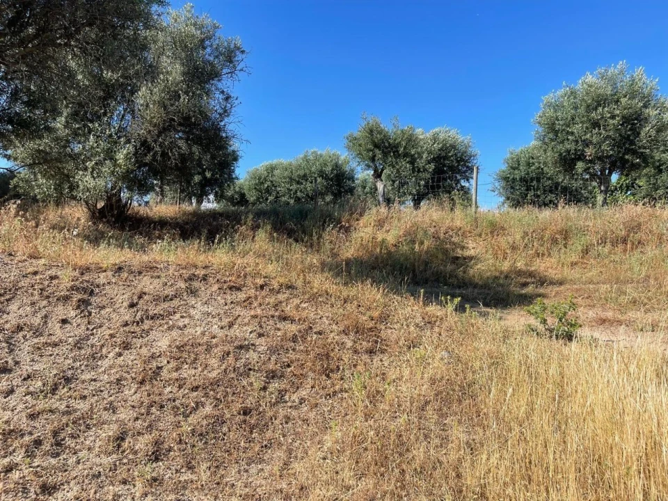 Terreno para Venda em Figueira e Barros Foto 12