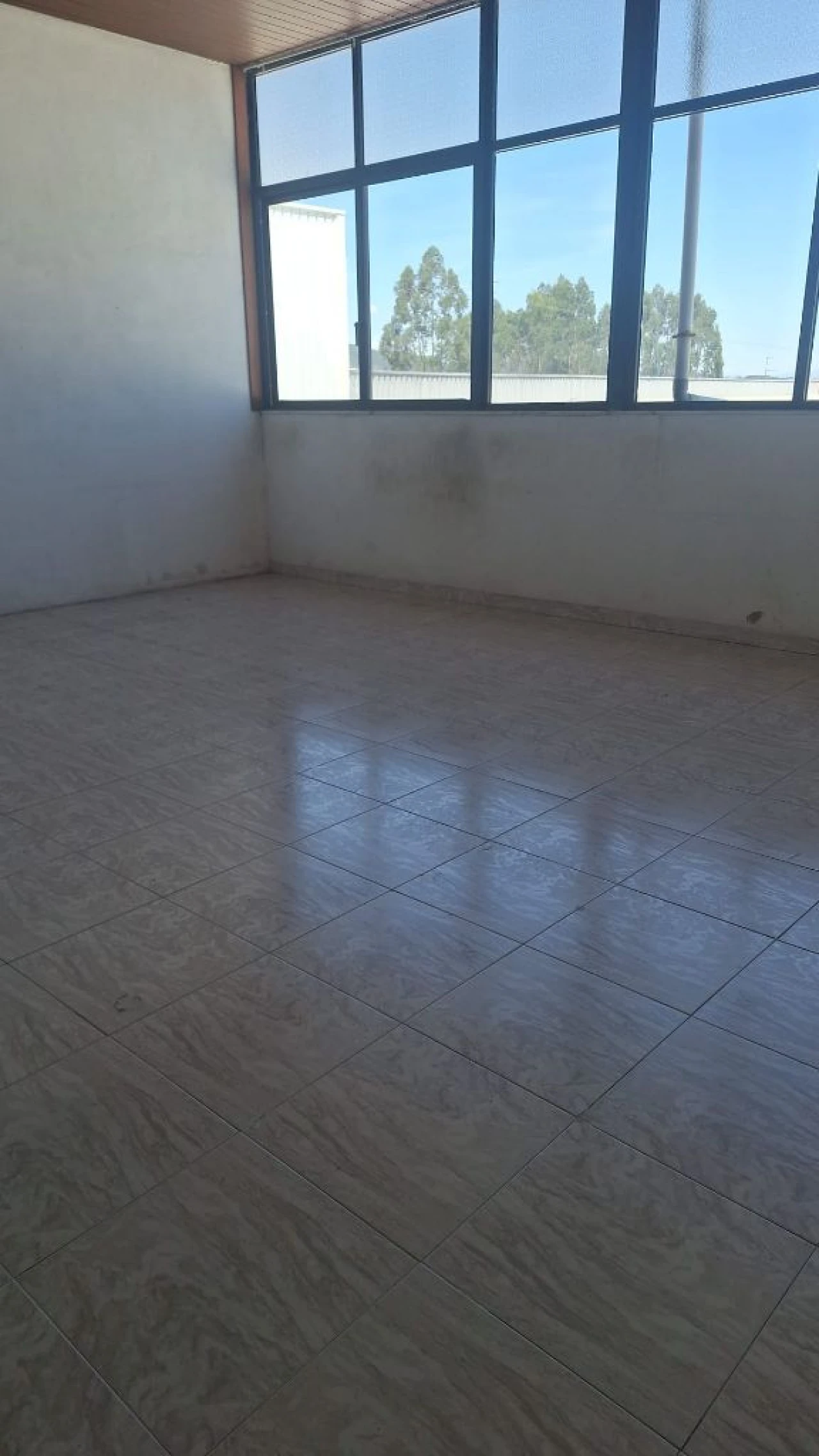 Apartamento T3 para Arrendamento em Freamunde Foto 7