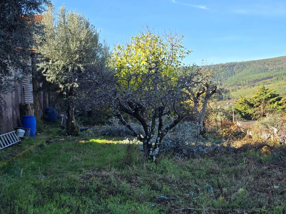 Terreno para Venda em Covilhã Foto 1