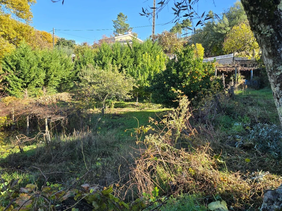 Terreno para Venda em Covilhã Foto 5
