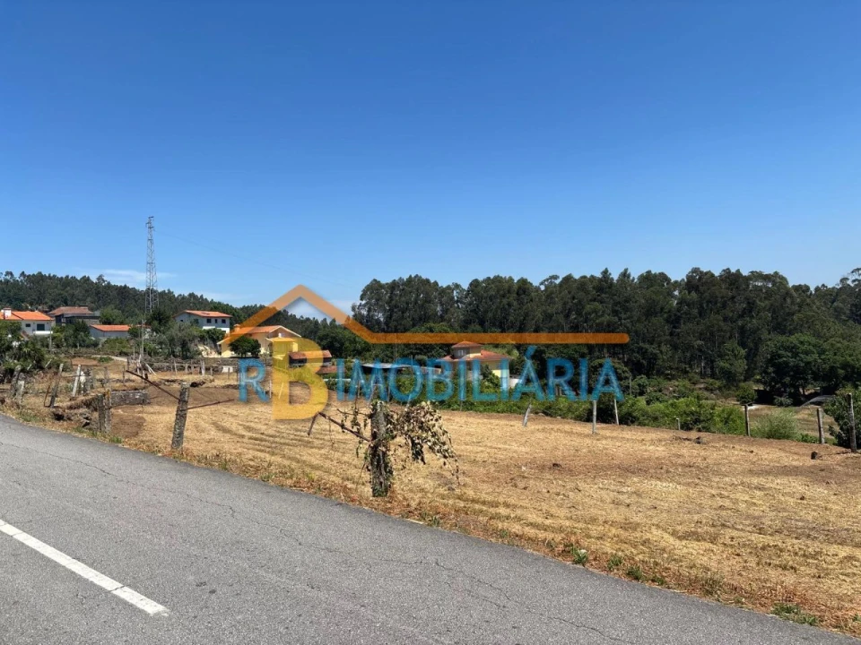 Terreno para Venda em Ribeira Foto 2