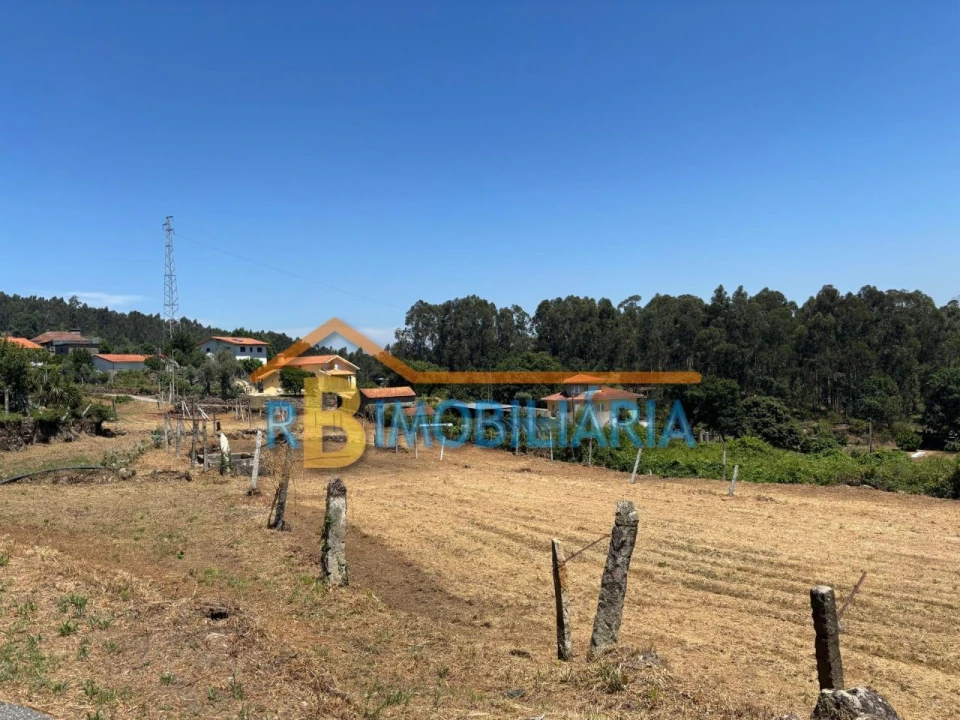Terreno para Venda em Ribeira Foto 8