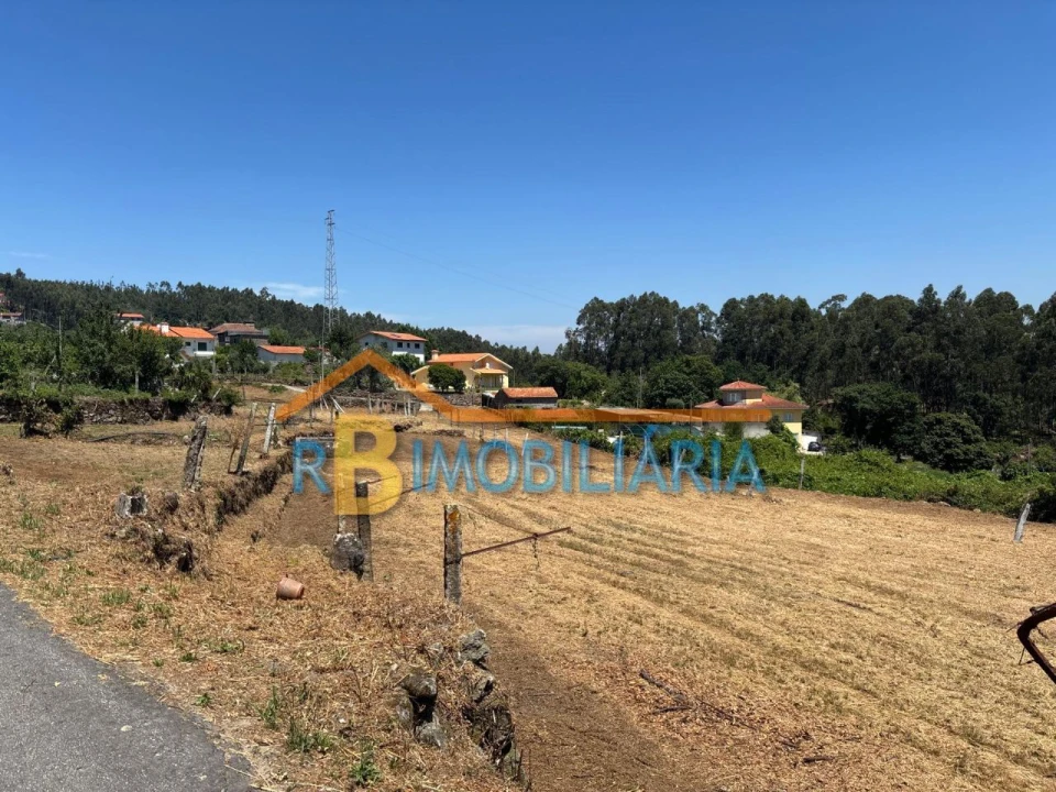 Terreno para Venda em Ribeira Foto 3