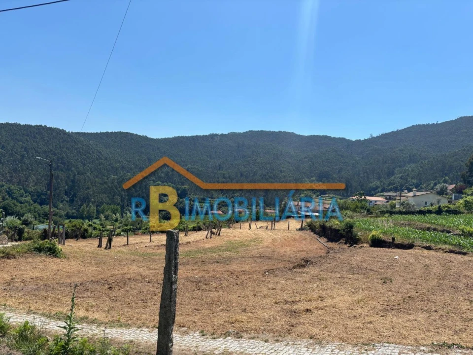 Terreno para Venda em Ribeira Foto 9