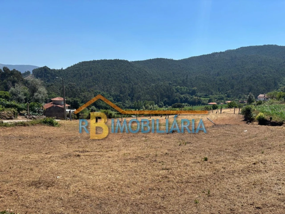 Terreno para Venda em Ribeira Foto 4