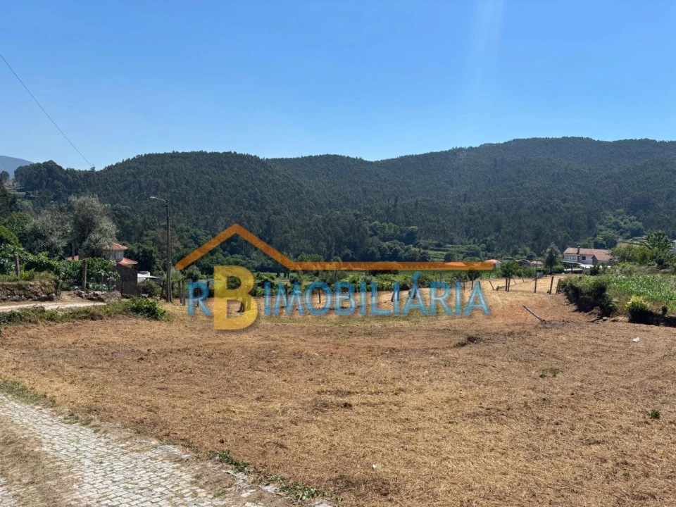 Terreno para Venda em Ribeira Foto 6