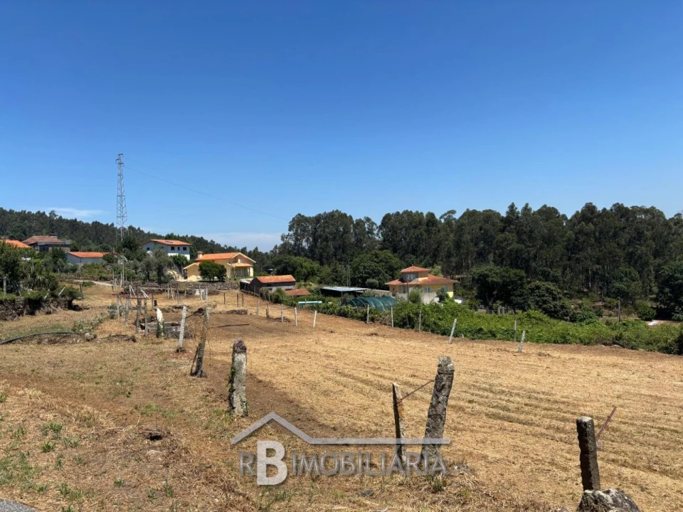 Terreno para Venda em Ribeira Foto 7