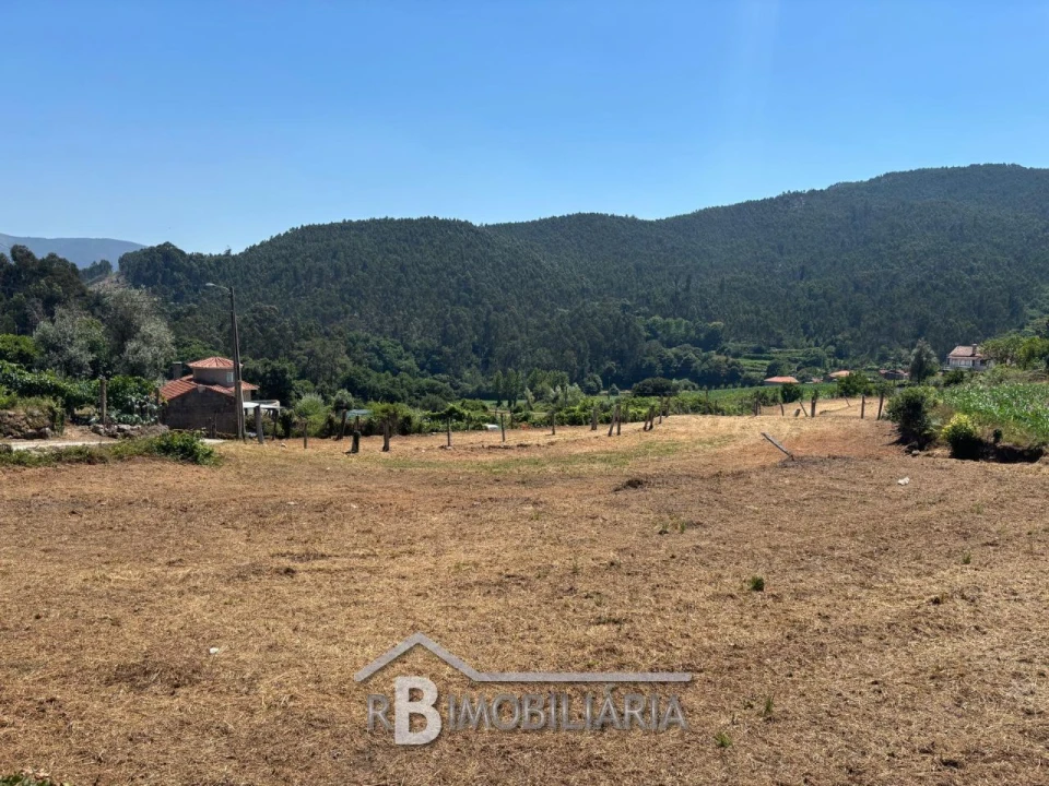 Terreno para Venda em Ribeira Foto 5