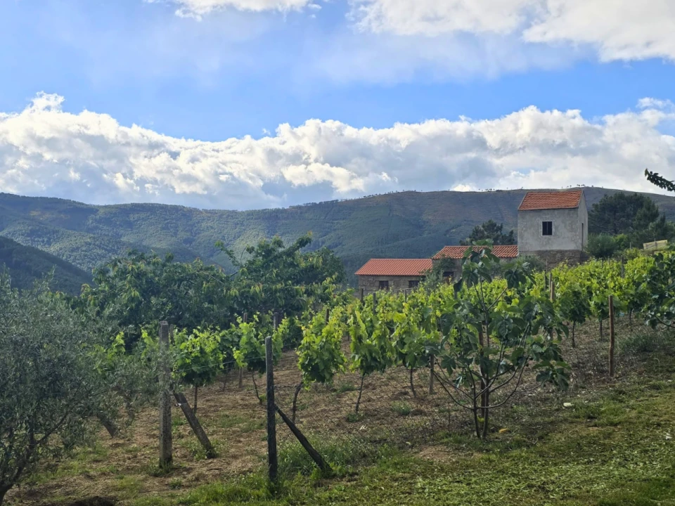Quinta para Venda em Covilhã Foto 1