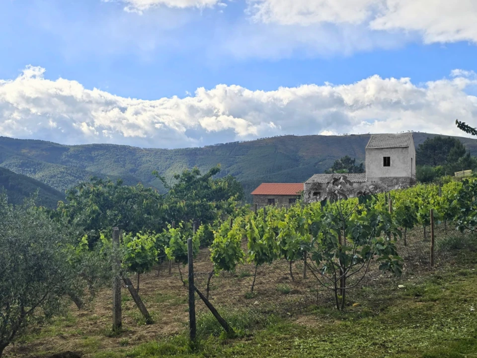 Quinta para Venda em Covilhã Foto 6